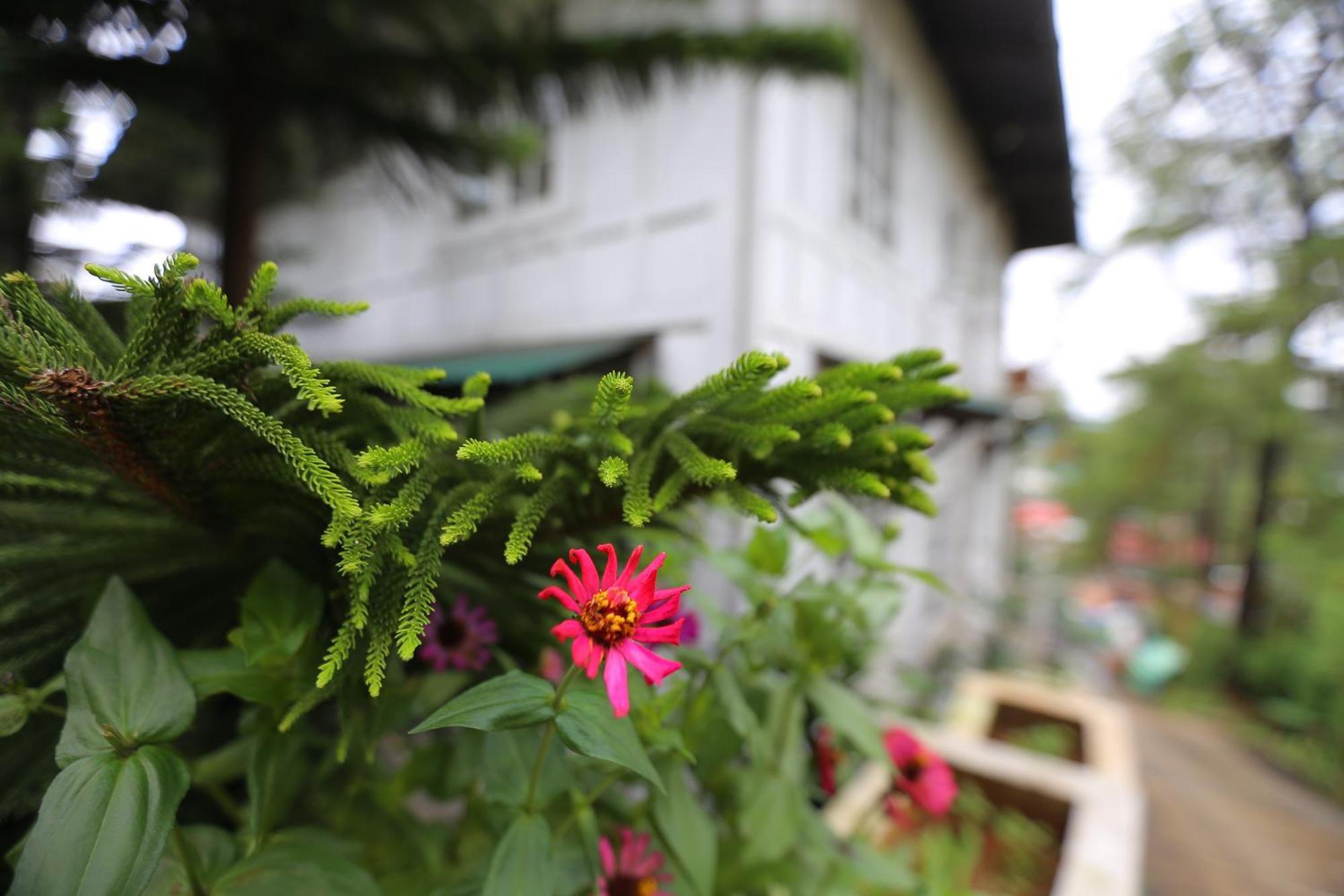 Casa Vallejo Hotel Baguio Baguio City Exterior foto